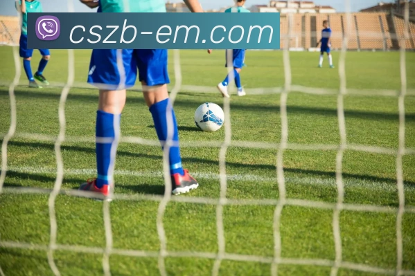 彩神争霸服务体系